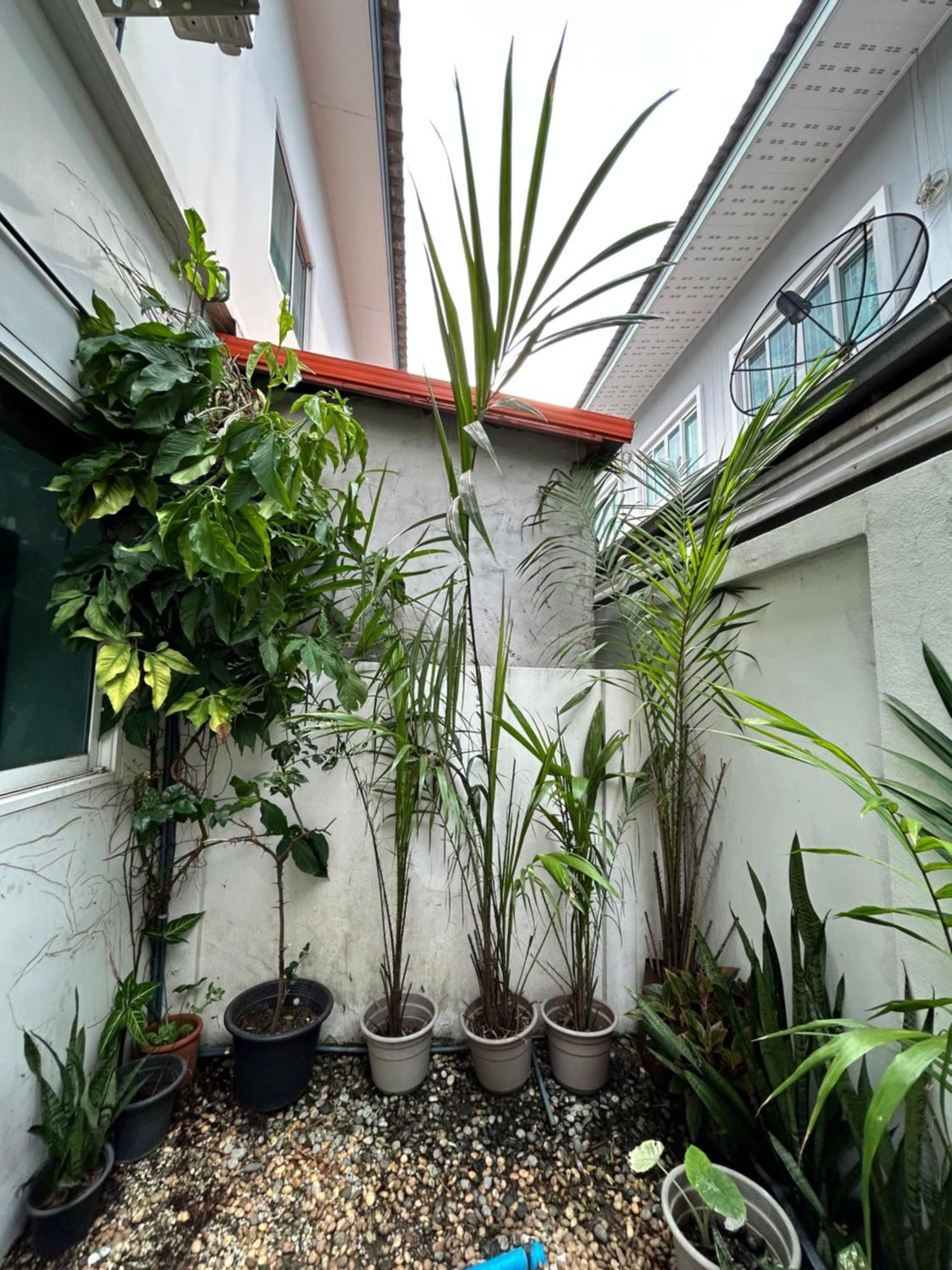 ไนซ์สเตย์ เฮาส์ แอทคลองสาม รังสิต คลองหลวง ปทุมธานี Nice Stay House At Khlong Sam - Rangsit - Khlong Luang - Phathumthani Exterior foto